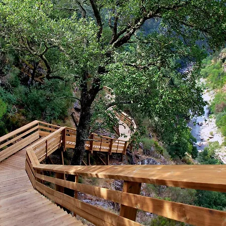 Real Ii By Mycelia Real (Castelo de Paiva)