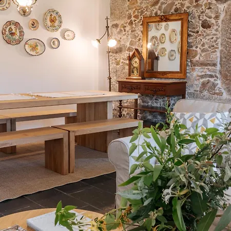 Real Ii By Mycelia *