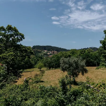 Real Ii By Mycelia Вилла Real (Castelo de Paiva)
