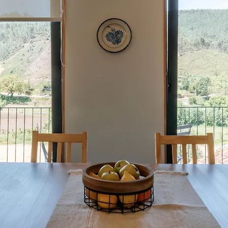 Real Ii By Mycelia Real (Castelo de Paiva)