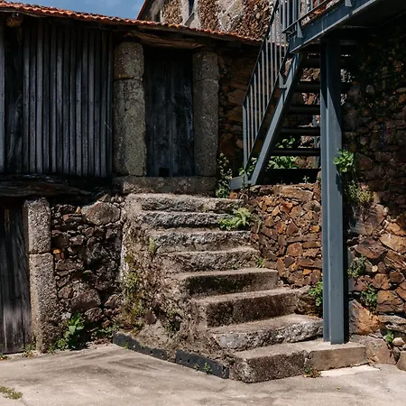 Real Ii By Mycelia ヴィラ