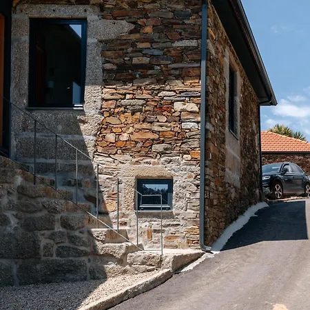 Real Ii By Mycelia *