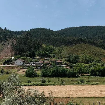 Real Ii By Mycelia ヴィラ