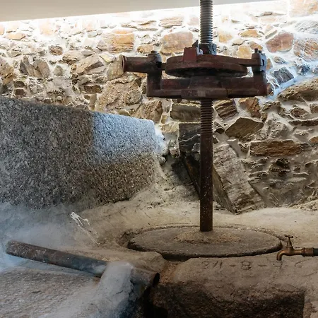 Real Ii By Mycelia ヴィラ