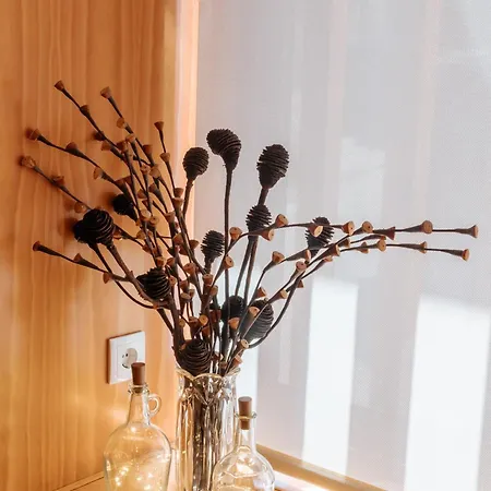 Real Ii By Mycelia *