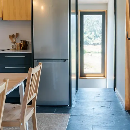 Real Ii By Mycelia Real (Castelo de Paiva)