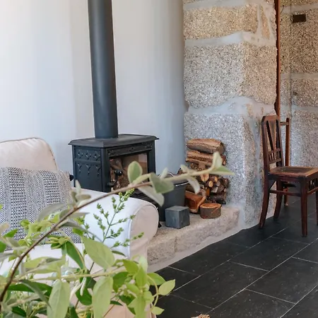 Real Ii By Mycelia *