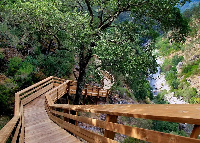 Real Ii By Mycelia Real (Castelo de Paiva)