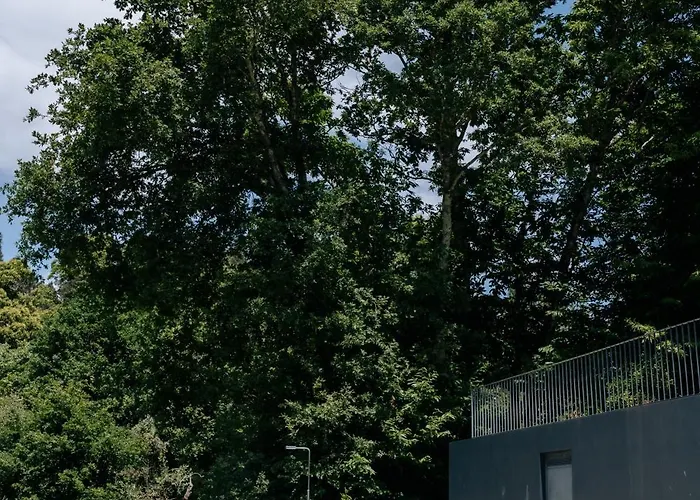 Villa Real Ii By Mycelia *