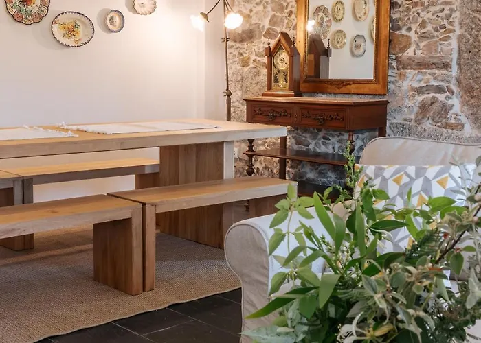 Real Ii By Mycelia *