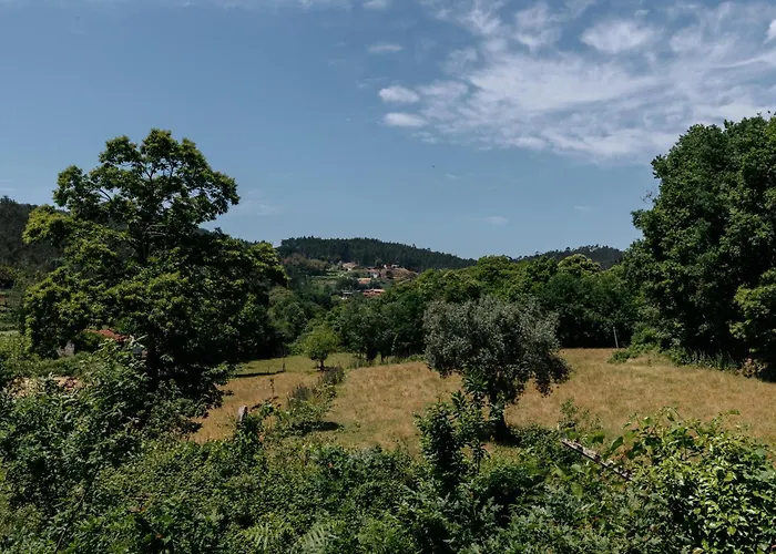 Real Ii By Mycelia Villa Real (Castelo de Paiva)