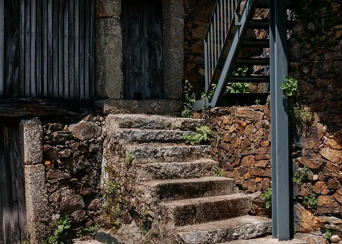 Real Ii By Mycelia Villa