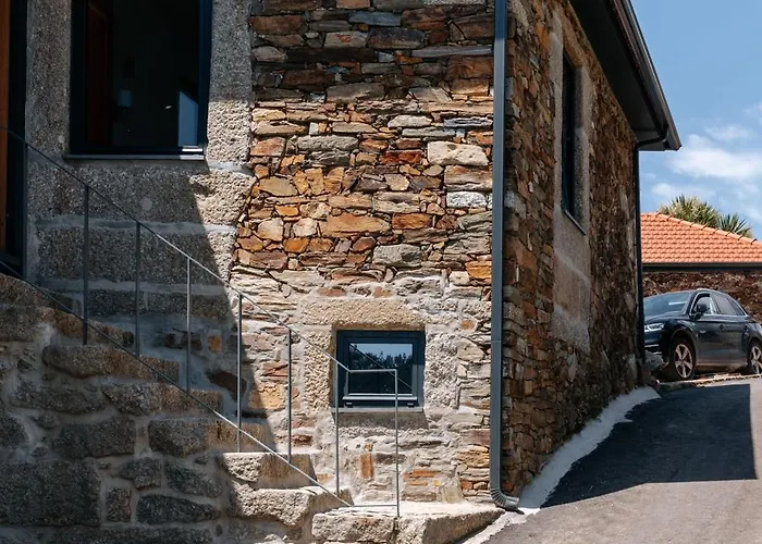 Real Ii By Mycelia *