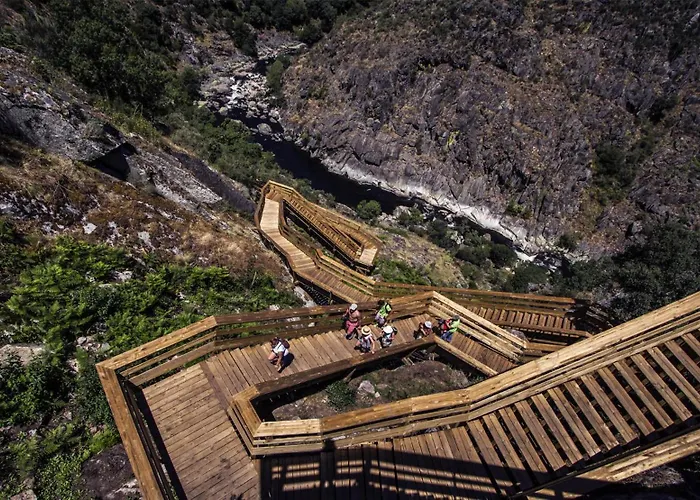 Villa Real Ii By Mycelia