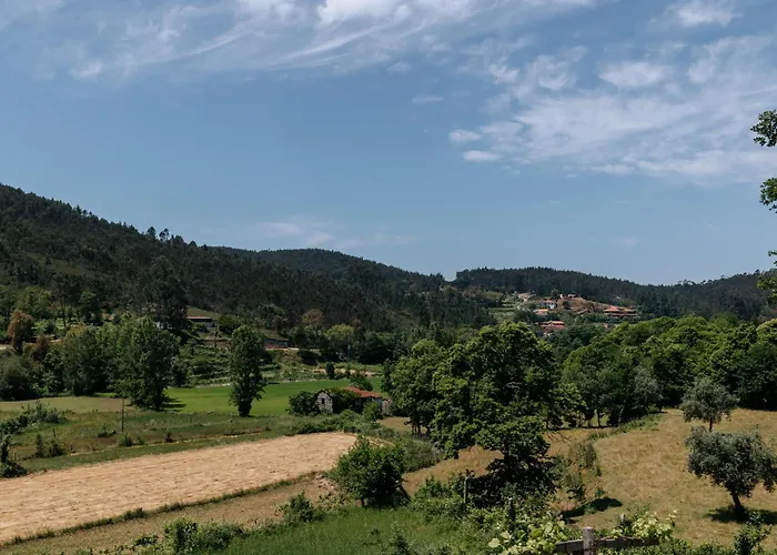 Villa Real Ii By Mycelia *