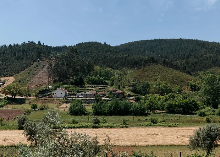 Real Ii By Mycelia Villa