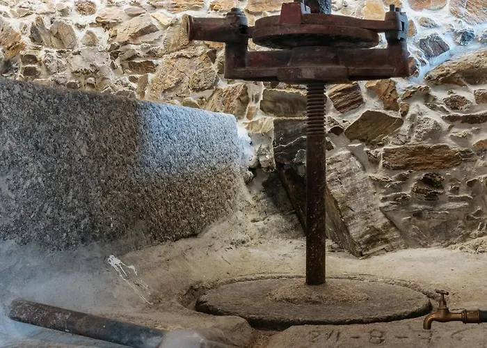 Real Ii By Mycelia Villa