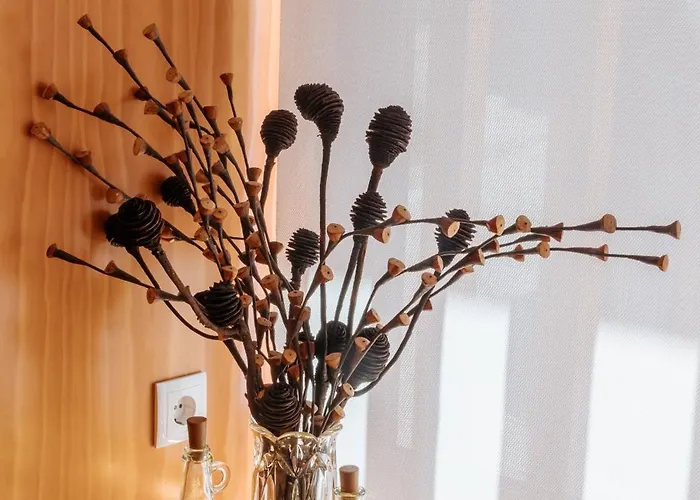 Real Ii By Mycelia *